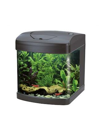 Amtra XCube 26 LED