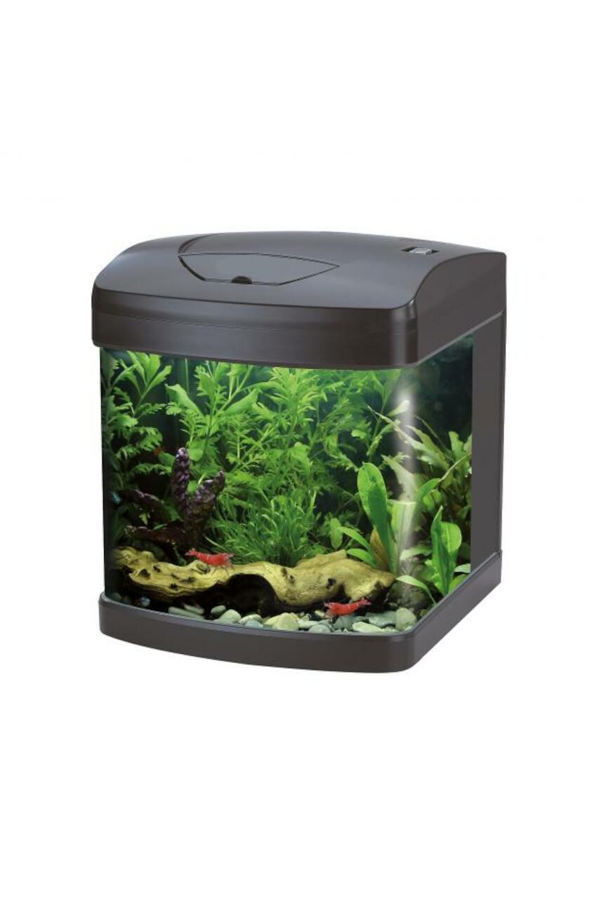 Amtra XCube 26 LED