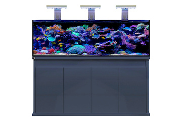 D-D Reef-Pro 1800 ANTHRACITE GLOSS -  Aquariumsystem