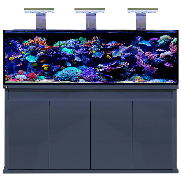 D-D Reef-Pro 1800 ANTHRACITE GLOSS -  Aquariumsystem