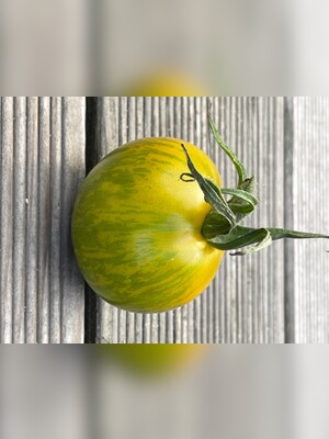 Tomate