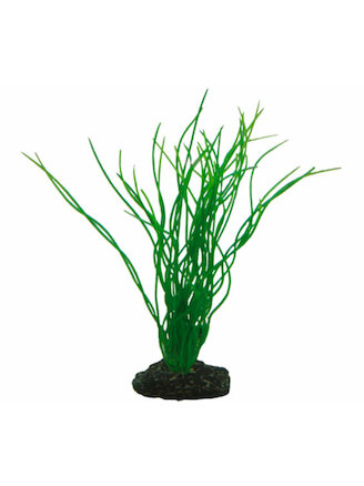 Hobby Sagittaria 20 cm