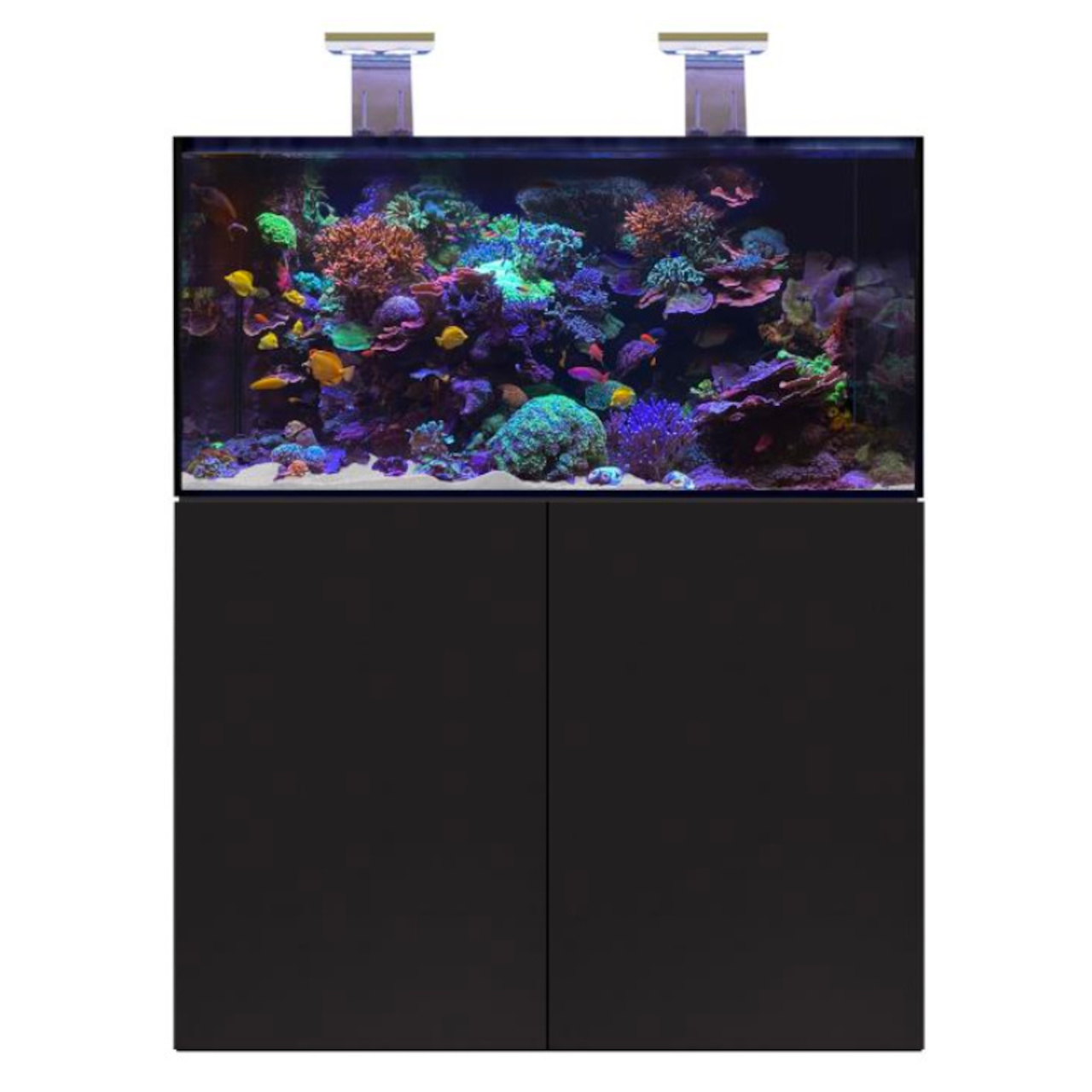 D-D Aqua-Pro Reef 1200- METAL FRAME- BLACK SATIN