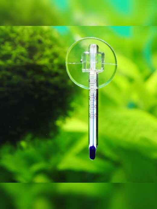 JBL Aquarienthermometer Mini