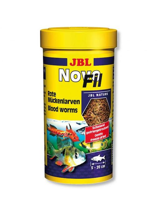 JBL ProTemp S 150 bis 200l