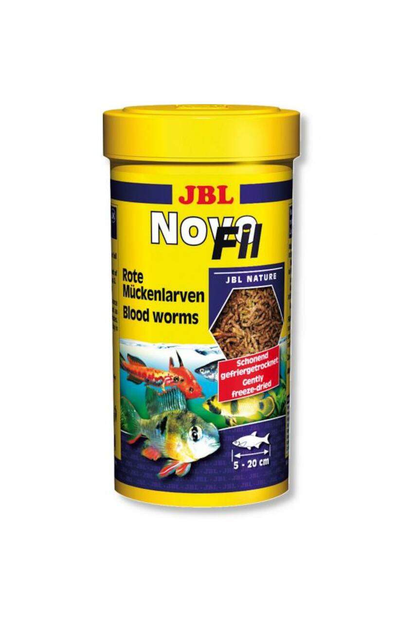 JBL ProTemp S 150 bis 200l