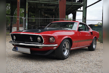 Ford Mustang Mach 1 mieten - 4 Stunden