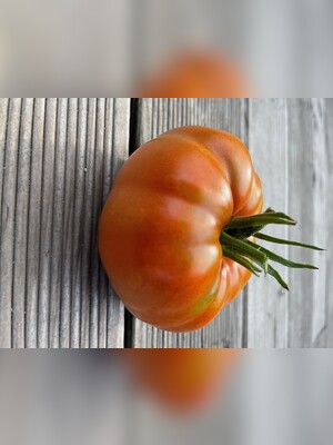 Tomate
