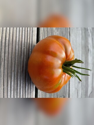 Tomate