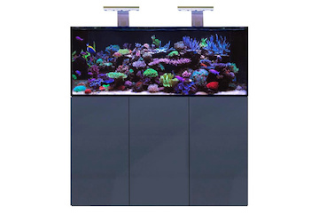 D-D Aqua-Pro Reef 1500- METAL FRAME- ANTHRACITE GLOSS