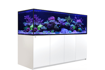 Red Sea Reefer-S 1000 G2+ weiss