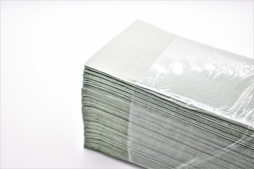 Fripa Papier Handtücher Natur Plus 20 x 250 Stück