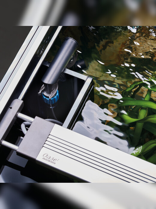 Oase HighLine Raumteiler optiwhite 300 anthrazit