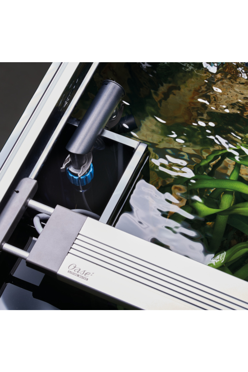 Oase HighLine Raumteiler optiwhite 300 anthrazit