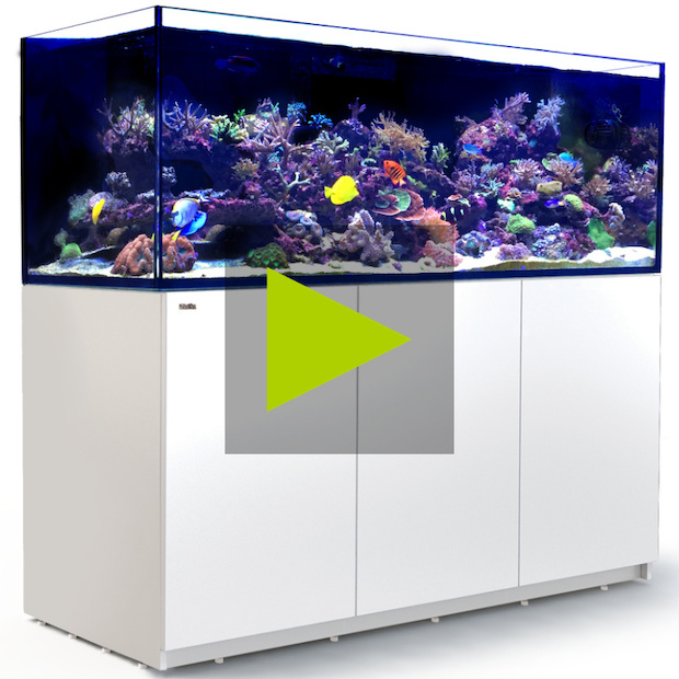 Red Sea Reefer 750 G2+ weiss