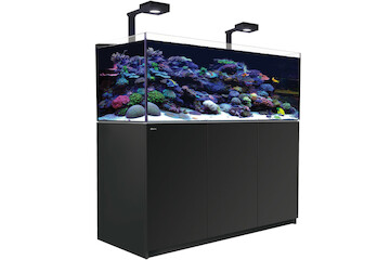 Red Sea Reefer 625 G2+ MAX schwarz