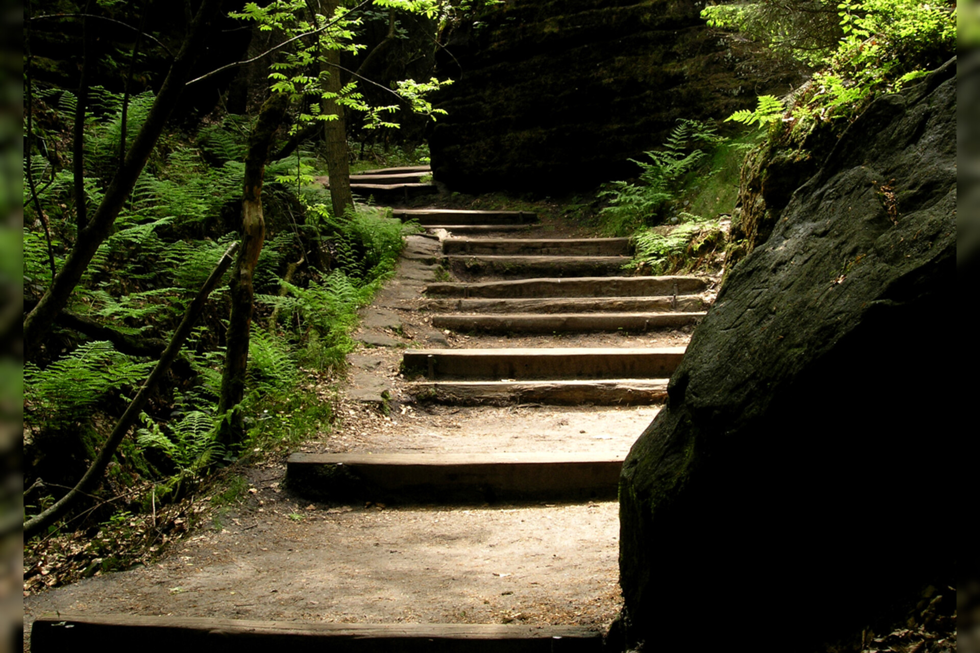 Fotokurs mit Fototour: Bastei & Felsenburg