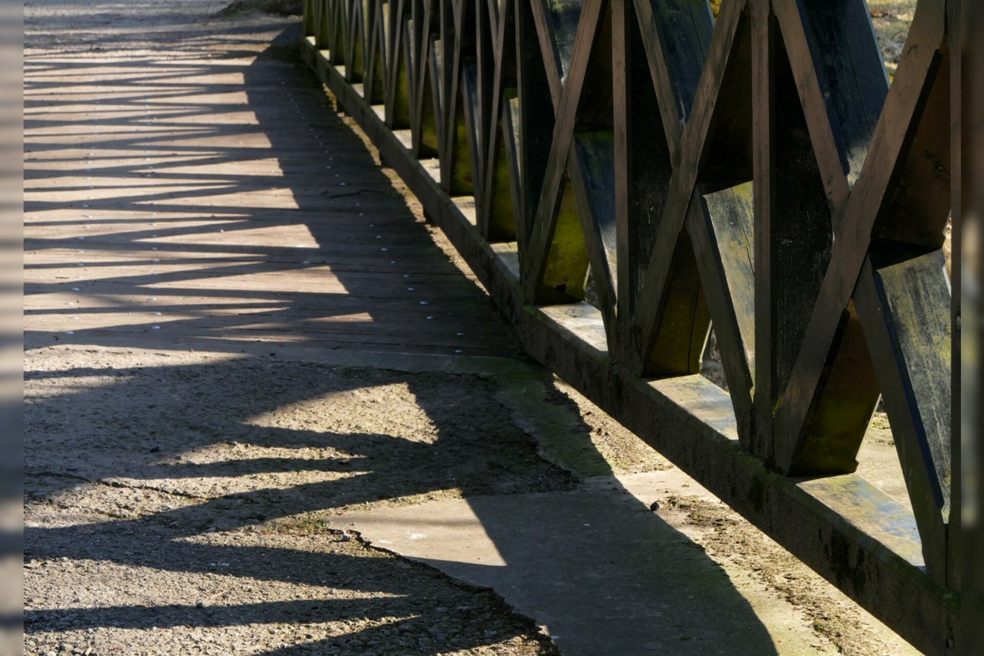 Fotokurs mit Fototour: Wildpark