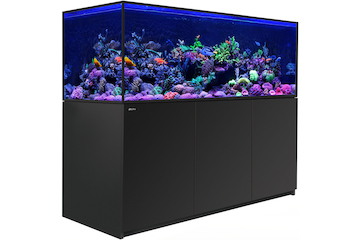 Red Sea Reefer-S 850 G2+ schwarz