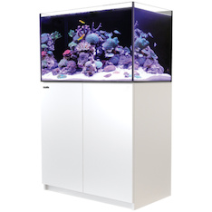 Red Sea Reefer 300 G2+ weiss