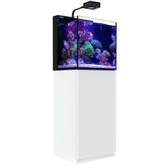 Red Sea Max Nano Cube G2 weiss