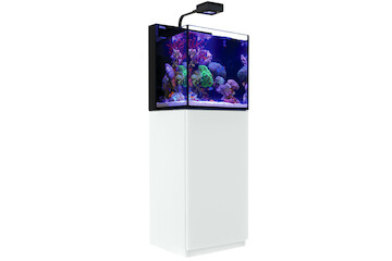 Red Sea Max Nano Cube weiss