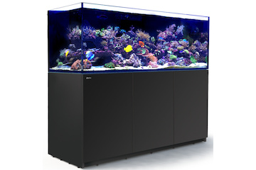 Red Sea Reefer 750 G2+ schwarz