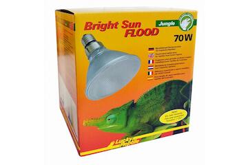 Lucky Reptile Bright Sun Flood Jungle