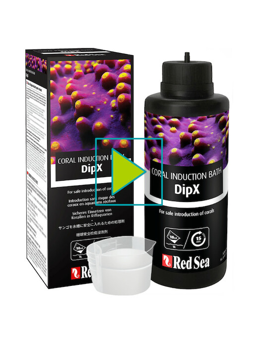 Red Sea DipX
