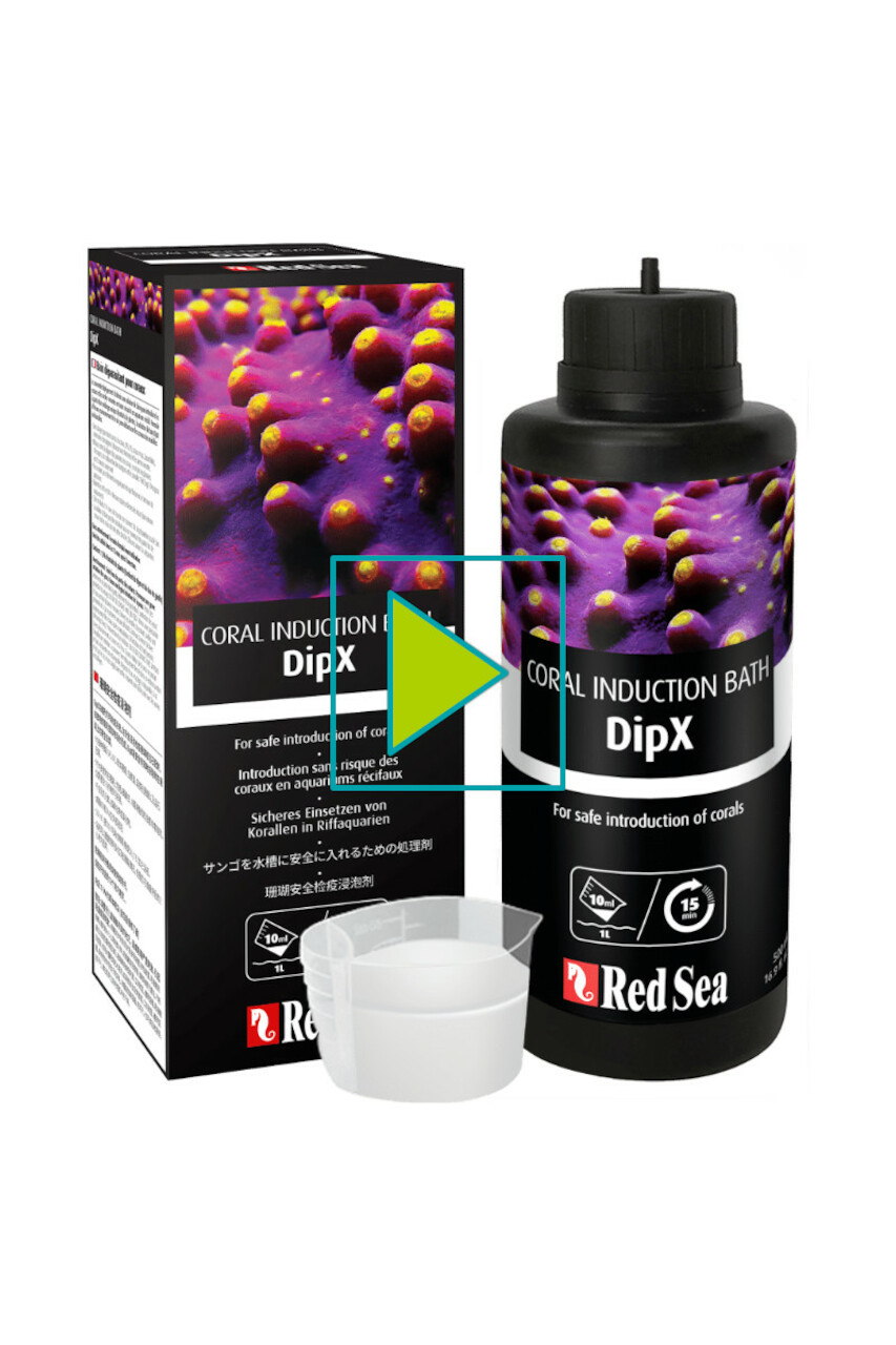 Red Sea DipX