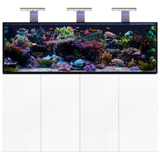 D-D Aqua-Pro Reef 1800- METAL FRAME- WHITE GLOSS