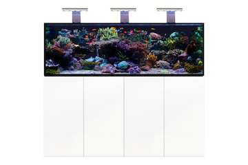 D-D Aqua-Pro Reef 1800- METAL FRAME- WHITE GLOSS