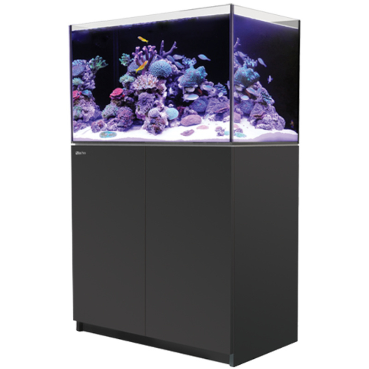 Red Sea Reefer 250 G2+ schwarz