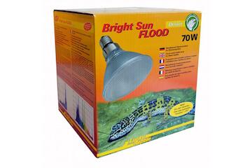 Lucky Reptile Bright Sun Flood Desert 70 W