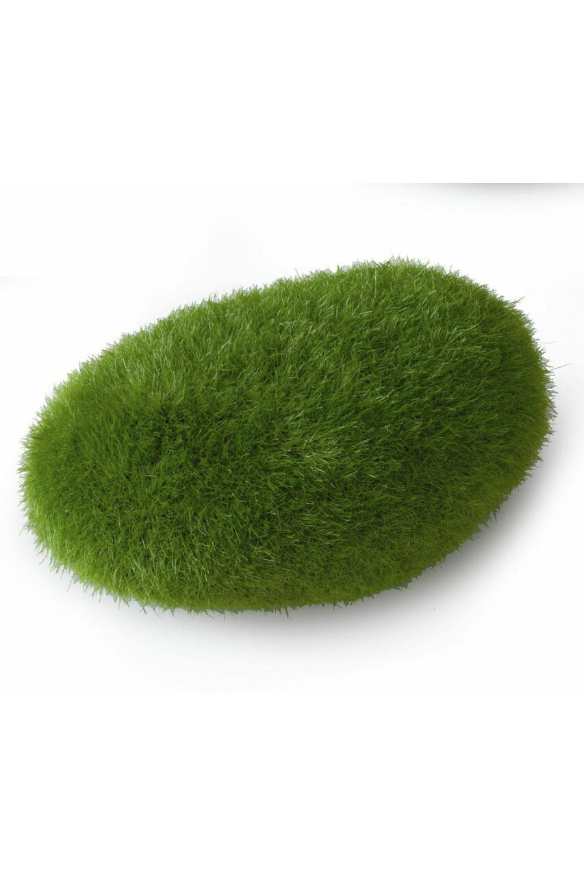 Aqua Della Moos Ball M