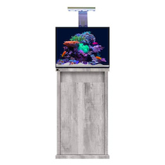 D-D Reef-Pro 600 DRIFTWOOD CONCRETE - Aquariumsystem