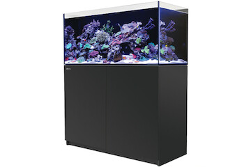 Red Sea Reefer 425 G2+ schwarz