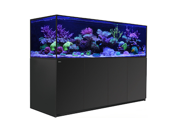 Red Sea Reefer-S 1000 G2+ schwarz