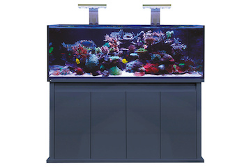 D-D Reef-Pro 1500 ANTHRACITE GLOSS -  Aquariumsystem