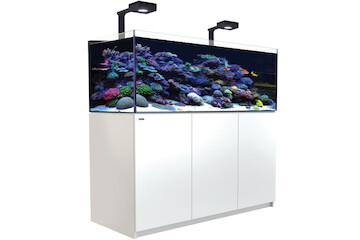 Red Sea Reefer 625 G2+ Deluxe weiss