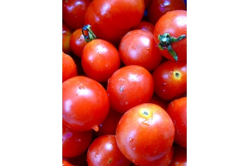 Tomate „Deutsche Riesentraube“ - BIO Tomatensorte