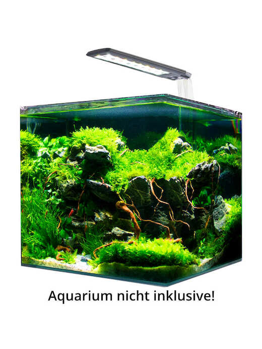 Amtra Vega Fresh 8,6 W