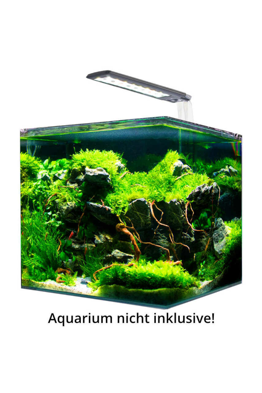 Amtra Vega Fresh 8,6 W