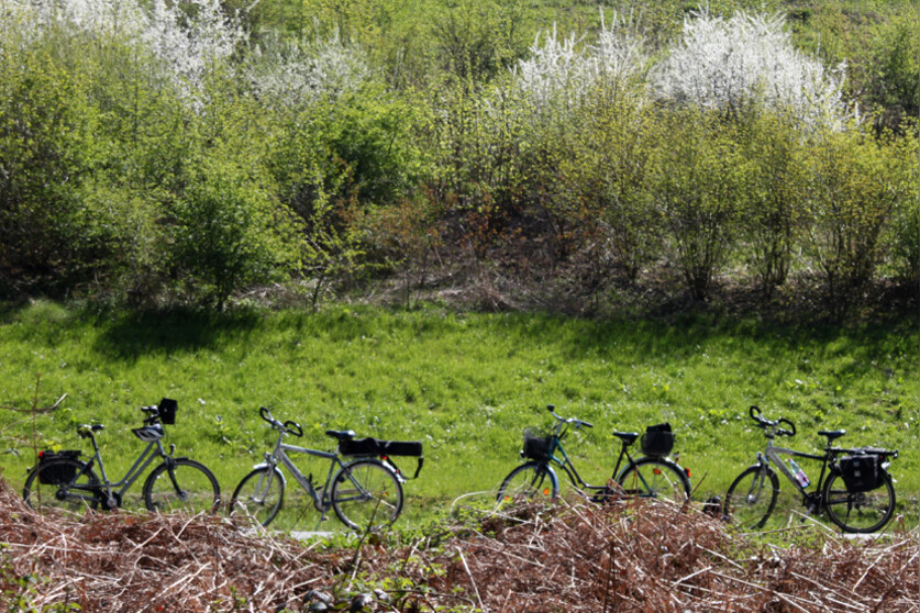 Fotokurs mit Fototour: Steverauen-Fahrrad-Tour