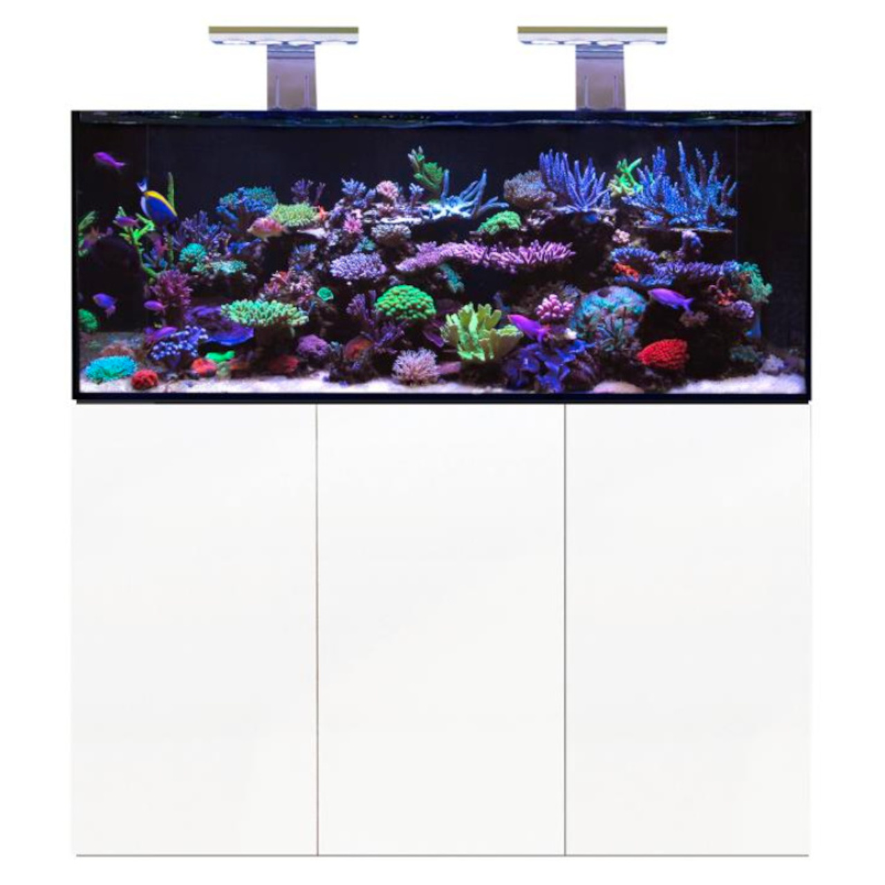 D-D Aqua-Pro Reef 1500- METAL FRAME- WHITE GLOSS