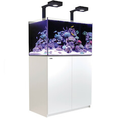 Red Sea Reefer 250 G2+ Deluxe weiss