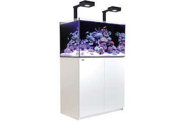 Red Sea Reefer 250 G2+ Deluxe weiss