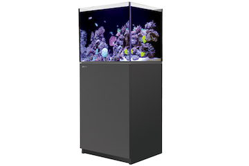 Red Sea Reefer 200 G2+ schwarz