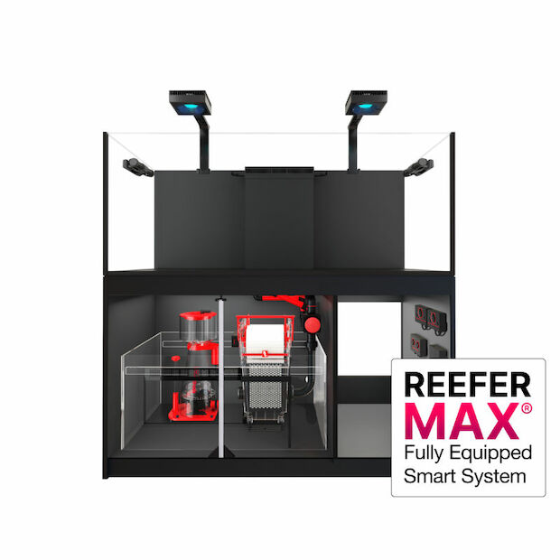 Red Sea Reefer 625 G2+ MAX schwarz