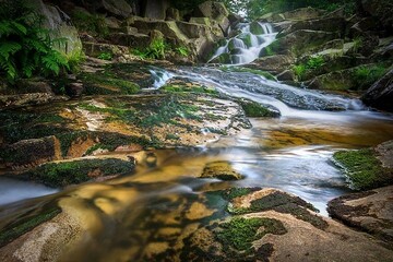 Fotokurs mit Fototour: Nationalpark Harz & Wasserfälle